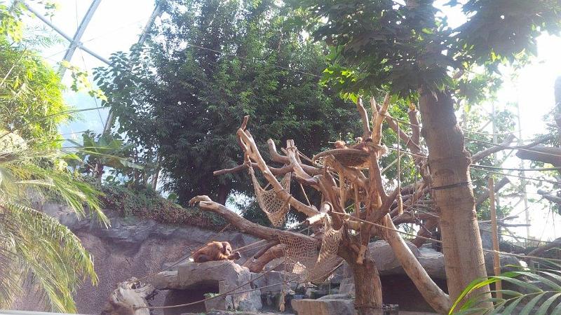 20151010_035.jpg