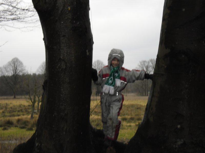 kohlf2012_028.jpg